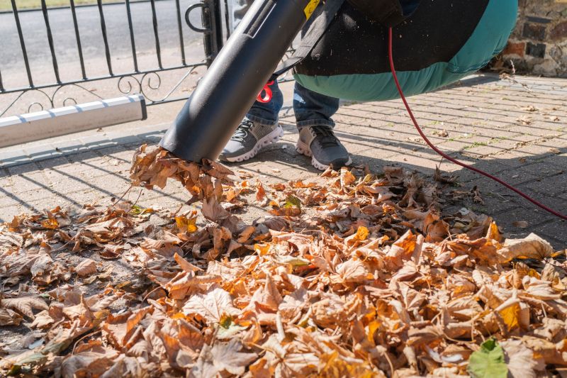 Leaf Blowing for Precise Cleanup