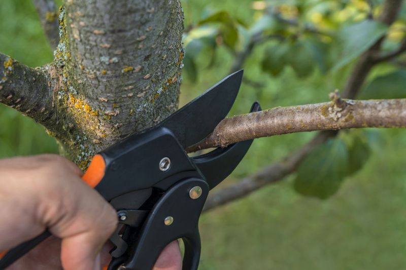 Healthy Pruned Trees