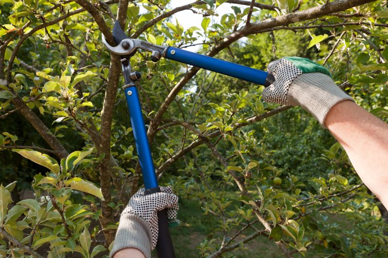 Tree Care Tools