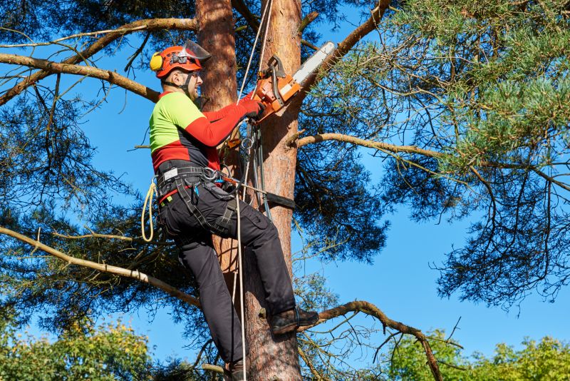 Tree Trimming Safety Gear